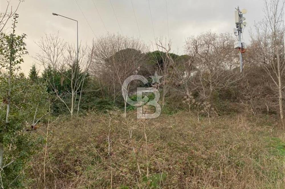Bebekte 917 m² Boğaz ve İstanbul Manzaralı Emsalsiz Arazi