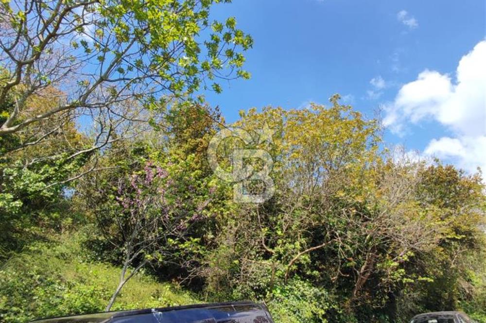 Bebekte 917 m² Boğaz ve İstanbul Manzaralı Emsalsiz Arazi