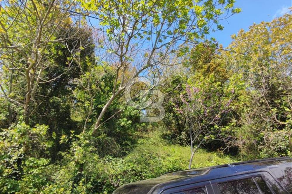 Bebekte 917 m² Boğaz ve İstanbul Manzaralı Emsalsiz Arazi