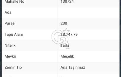 Düzce Merkez Ağa Mah 1406 m2 Satılık Arsa