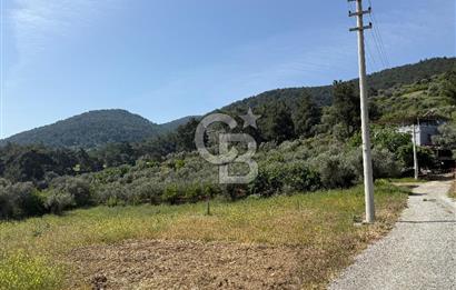 Menderes Değirmendere'de 1718 M² Satılık Tarla