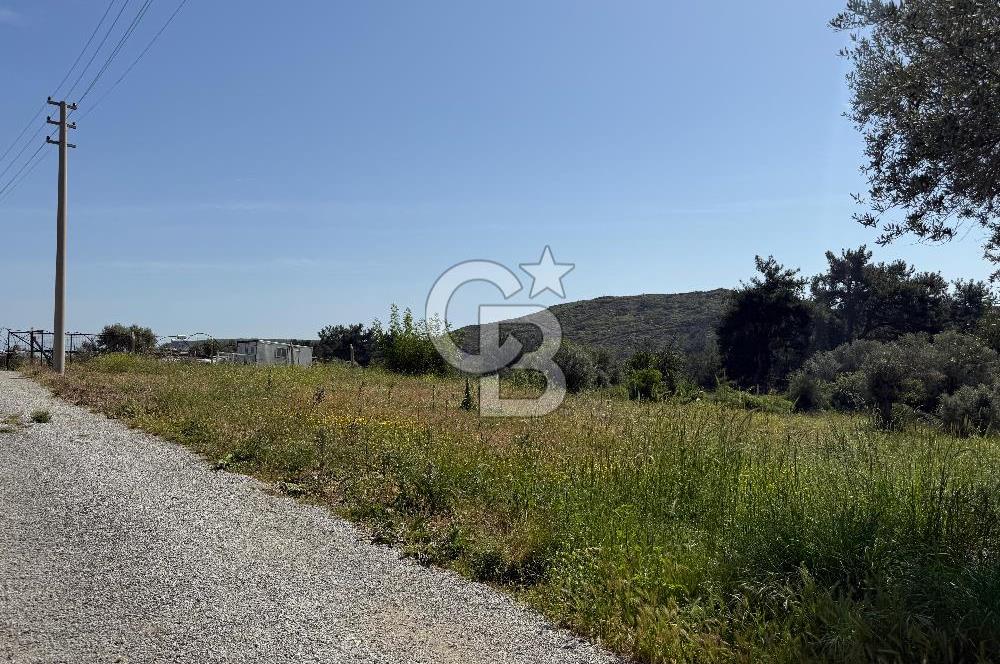 Menderes Değirmendere'de 1718 M² Satılık Tarla