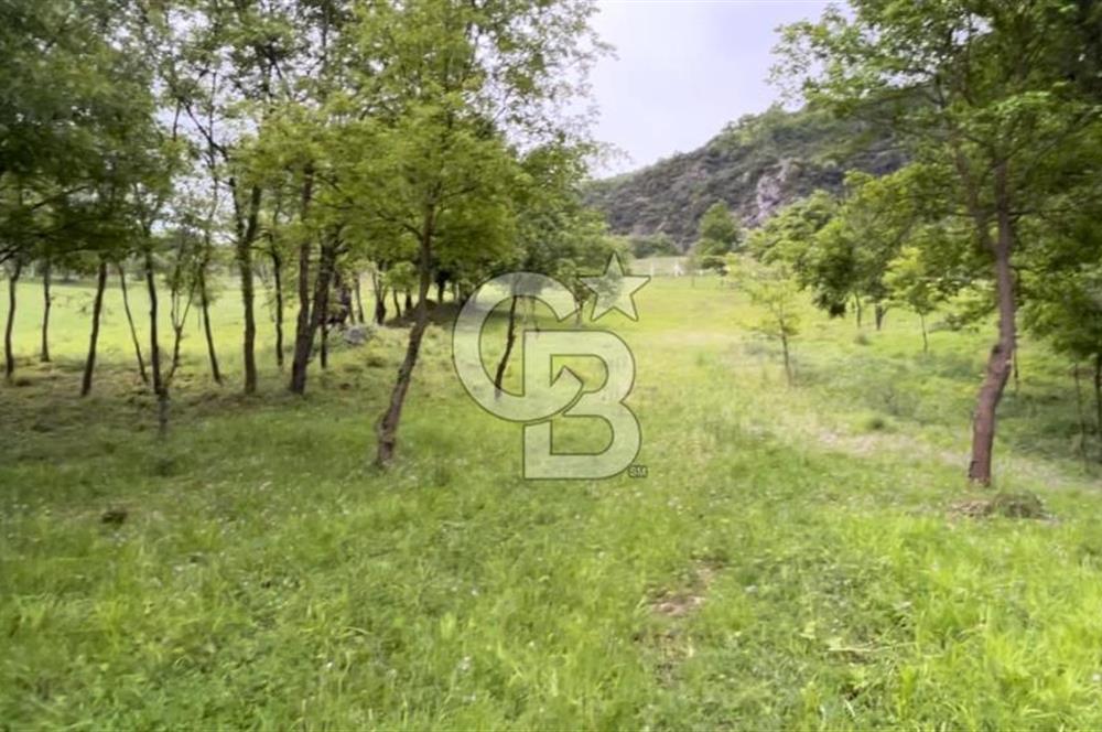 İznik Göllüce’de Panoromik Göl Manzaralı 12.817 M² Satılık Tarla