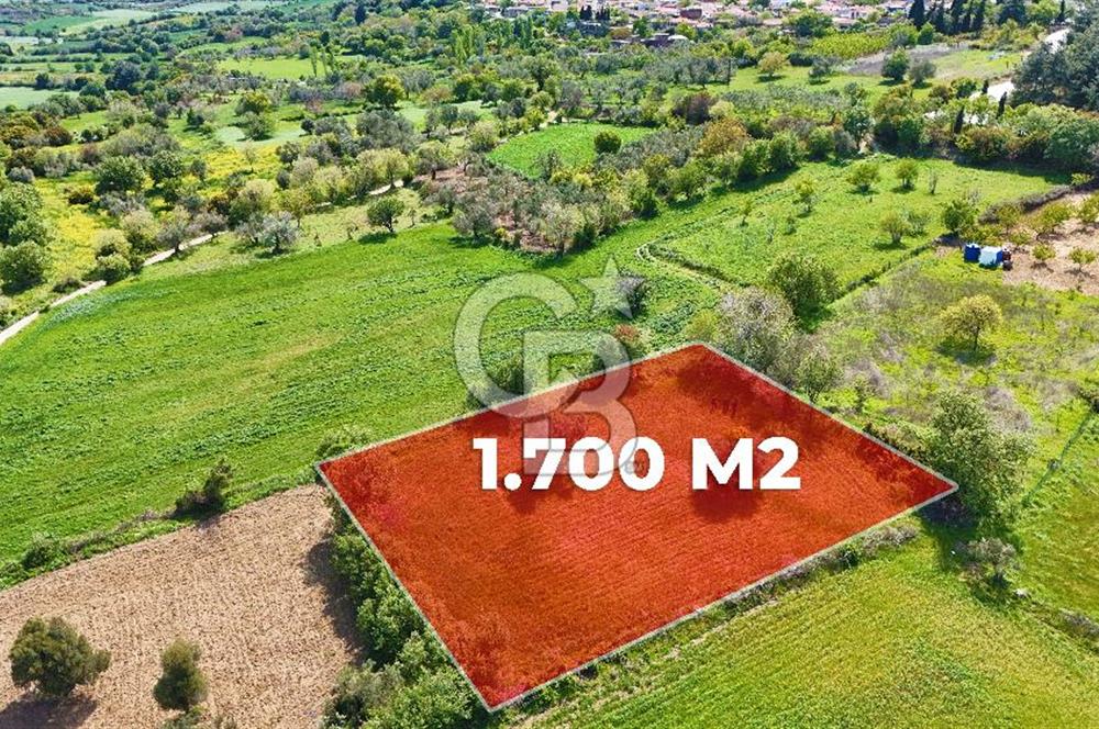 ÇANAKKALE LAPSEKİ KANGIRLI SATILIK TARLA BOĞAZ VE KÖPRÜ MANZARALI 