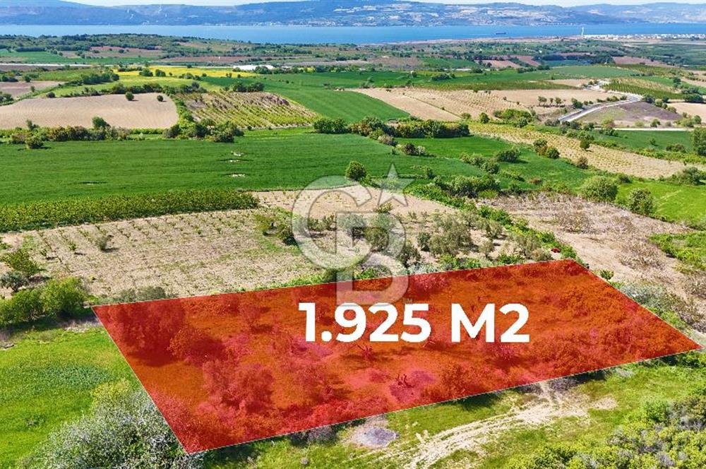 ÇANAKKALE LAPSEKİ KANGIRLI SATILIK TARLA BOĞAZ VE KÖPRÜ MANZARALI 