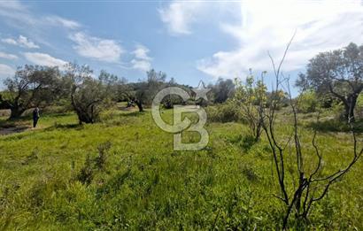 ÇANAKKALE LAPSEKİ KANGIRLI SATILIK TARLA BOĞAZ VE KÖPRÜ MANZARALI 