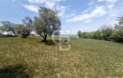 ÇANAKKALE LAPSEKİ KANGIRLI SATILIK TARLA BOĞAZ VE KÖPRÜ MANZARALI 