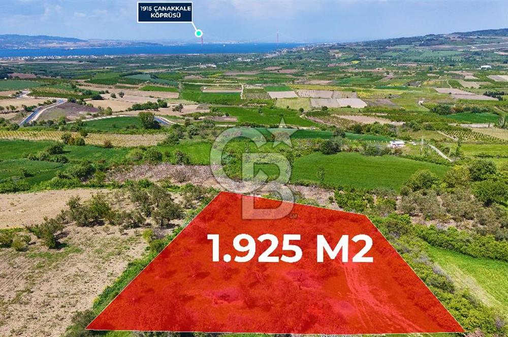 ÇANAKKALE LAPSEKİ KANGIRLI SATILIK TARLA BOĞAZ VE KÖPRÜ MANZARALI 