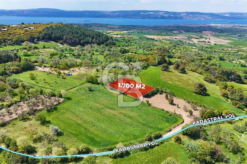 ÇANAKKALE LAPSEKİ KANGIRLI SATILIK TARLA BOĞAZ VE KÖPRÜ MANZARALI 