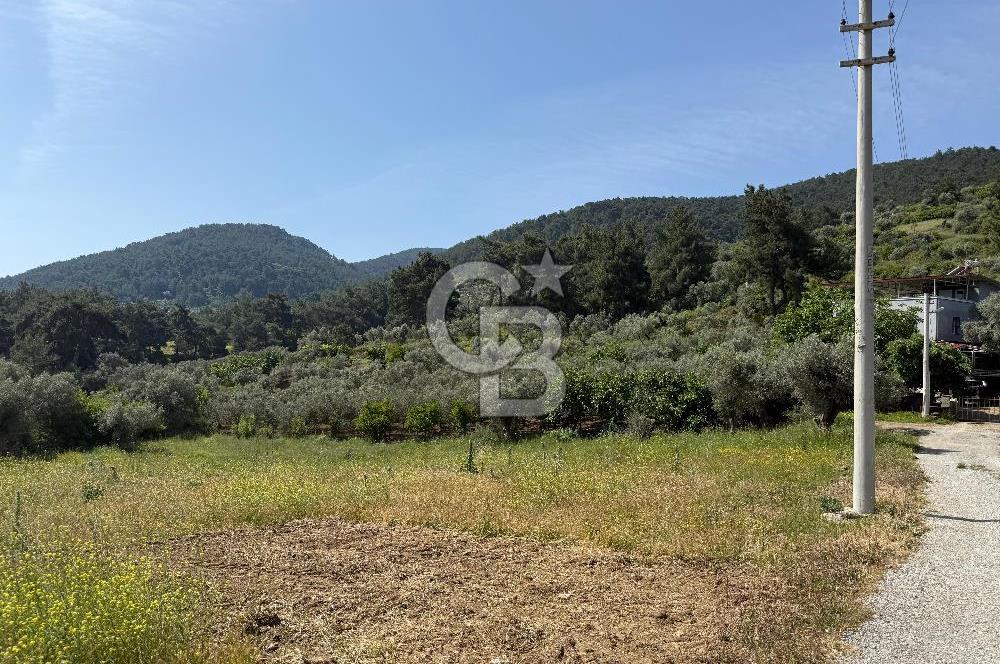 Menderes Değirmendere'de 3437 M² Tek Tapu Satılık Tarla