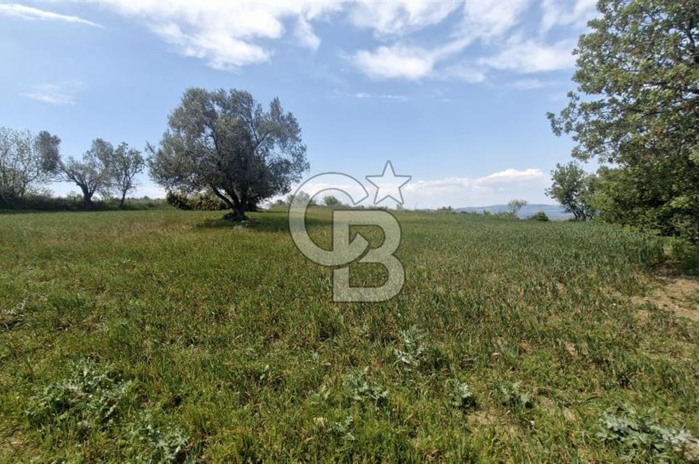 ÇANAKKALE LAPSEKİ KANGIRLI SATILIK TARLA BOĞAZ VE KÖPRÜ MANZARALI 