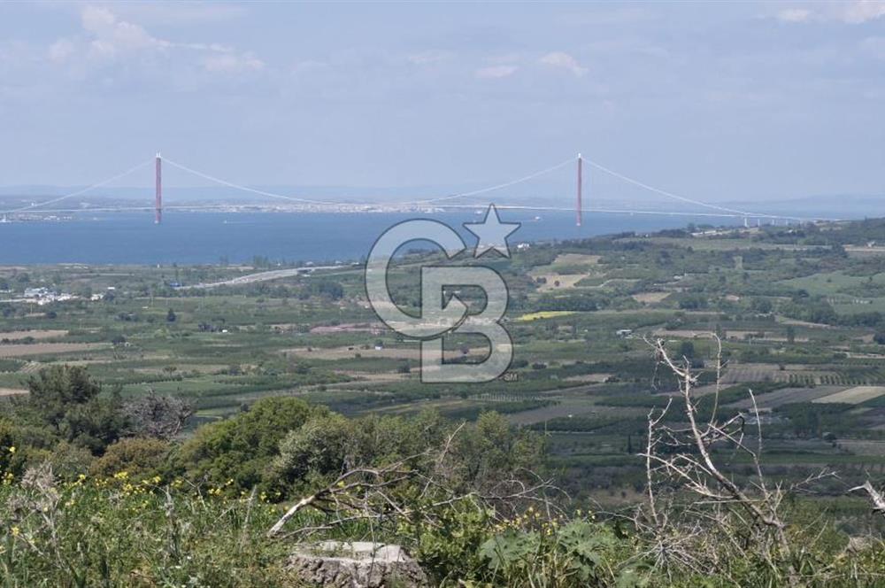 ÇANAKKALE LAPSEKİ KANGIRLI SATILIK TARLA BOĞAZ VE KÖPRÜ MANZARALI 