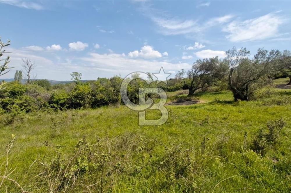 ÇANAKKALE LAPSEKİ KANGIRLI SATILIK TARLA BOĞAZ VE KÖPRÜ MANZARALI 