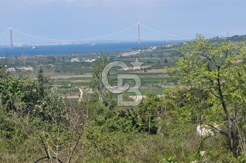 ÇANAKKALE LAPSEKİ KANGIRLI SATILIK TARLA BOĞAZ VE KÖPRÜ MANZARALI 