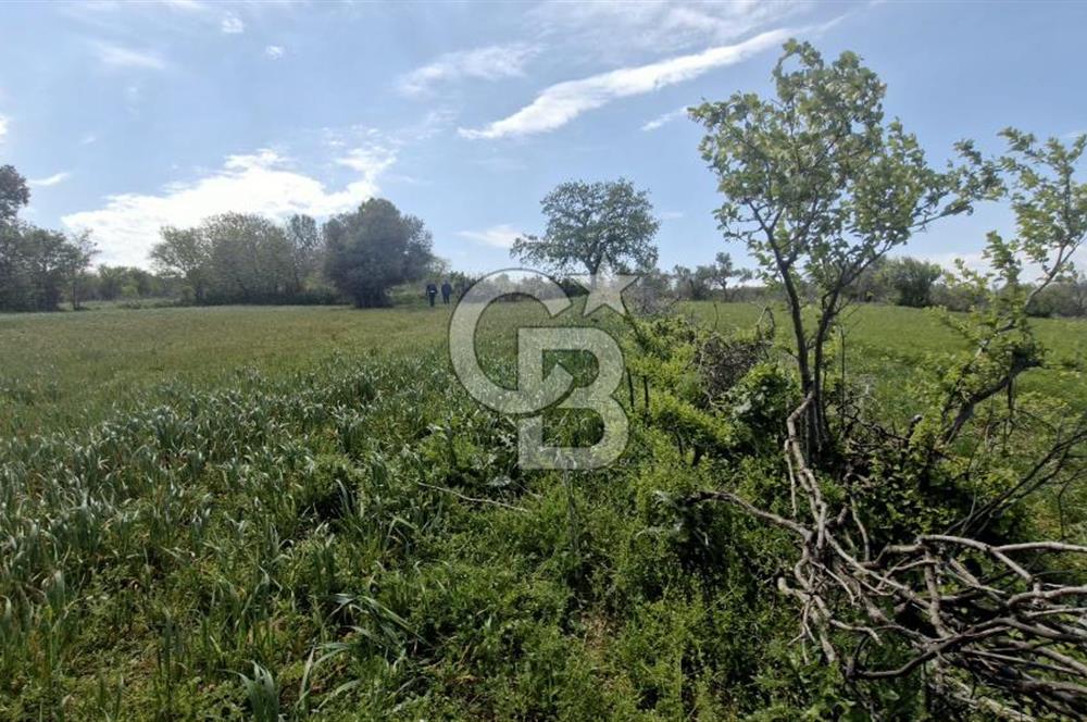 ÇANAKKALE LAPSEKİ KANGIRLI SATILIK TARLA BOĞAZ VE KÖPRÜ MANZARALI 