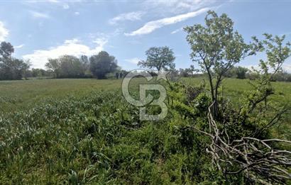 ÇANAKKALE LAPSEKİ KANGIRLI SATILIK TARLA BOĞAZ VE KÖPRÜ MANZARALI 