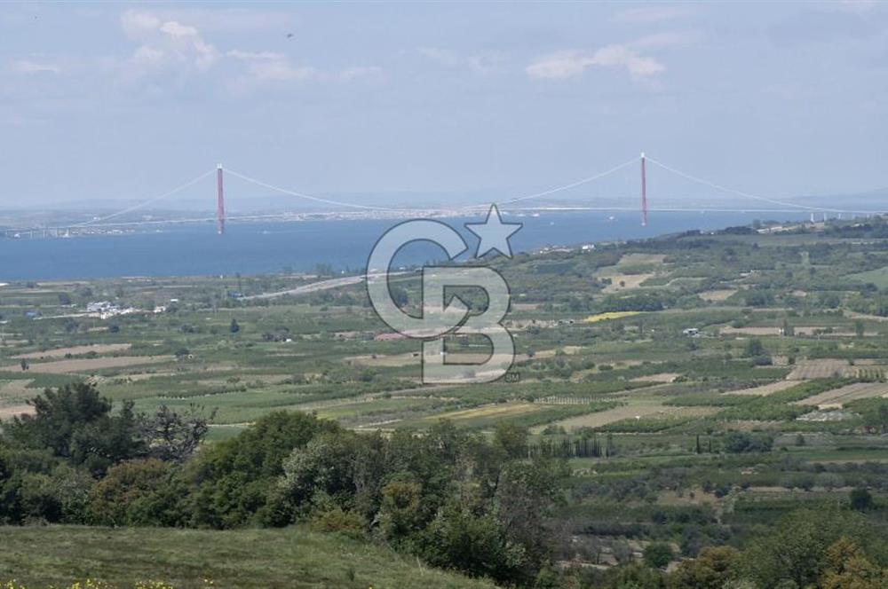ÇANAKKALE LAPSEKİ KANGIRLI SATILIK TARLA BOĞAZ VE KÖPRÜ MANZARALI 