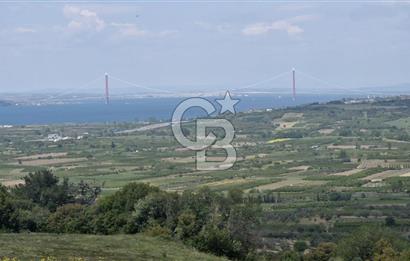 ÇANAKKALE LAPSEKİ KANGIRLI SATILIK TARLA BOĞAZ VE KÖPRÜ MANZARALI 