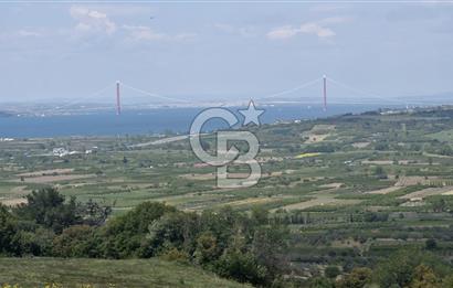 ÇANAKKALE LAPSEKİ KANGIRLI SATILIK TARLA BOĞAZ VE KÖPRÜ MANZARALI 