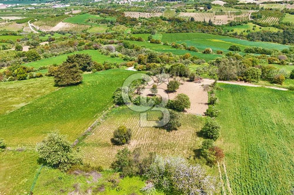 ÇANAKKALE LAPSEKİ KANGIRLI SATILIK TARLA BOĞAZ VE KÖPRÜ MANZARALI 