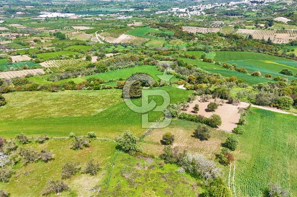 ÇANAKKALE LAPSEKİ KANGIRLI SATILIK TARLA BOĞAZ VE KÖPRÜ MANZARALI 
