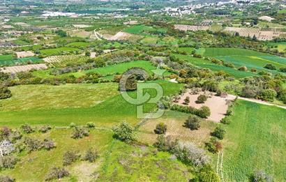 ÇANAKKALE LAPSEKİ KANGIRLI SATILIK TARLA BOĞAZ VE KÖPRÜ MANZARALI 