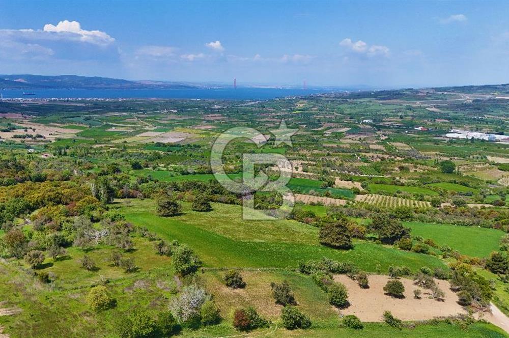 ÇANAKKALE LAPSEKİ KANGIRLI SATILIK TARLA BOĞAZ VE KÖPRÜ MANZARALI 