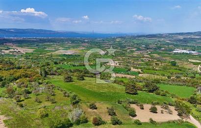 ÇANAKKALE LAPSEKİ KANGIRLI SATILIK TARLA BOĞAZ VE KÖPRÜ MANZARALI 