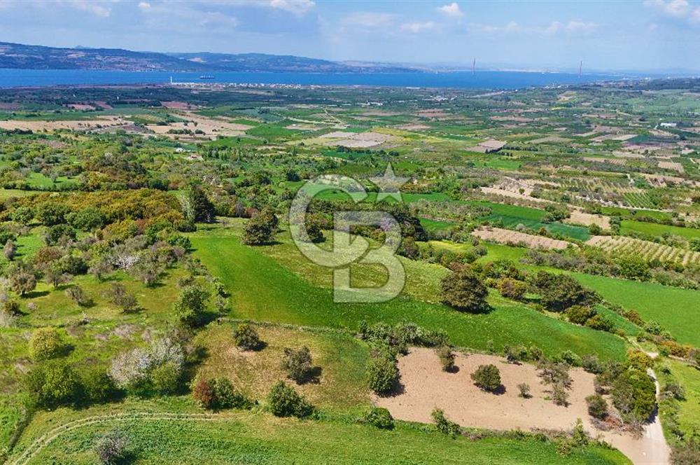 ÇANAKKALE LAPSEKİ KANGIRLI SATILIK TARLA BOĞAZ VE KÖPRÜ MANZARALI 