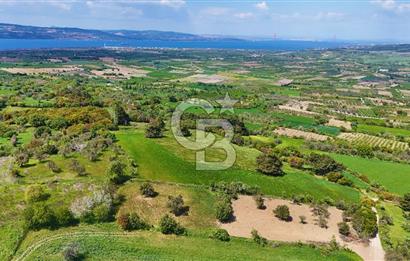 ÇANAKKALE LAPSEKİ KANGIRLI SATILIK TARLA BOĞAZ VE KÖPRÜ MANZARALI 