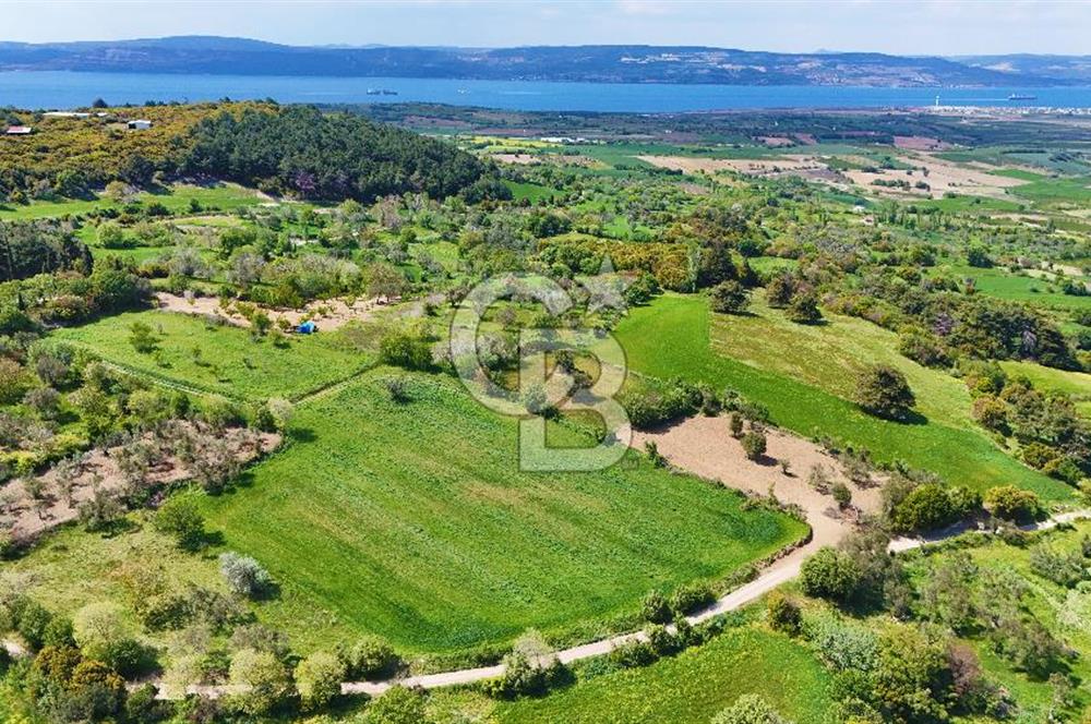 ÇANAKKALE LAPSEKİ KANGIRLI SATILIK TARLA BOĞAZ VE KÖPRÜ MANZARALI 