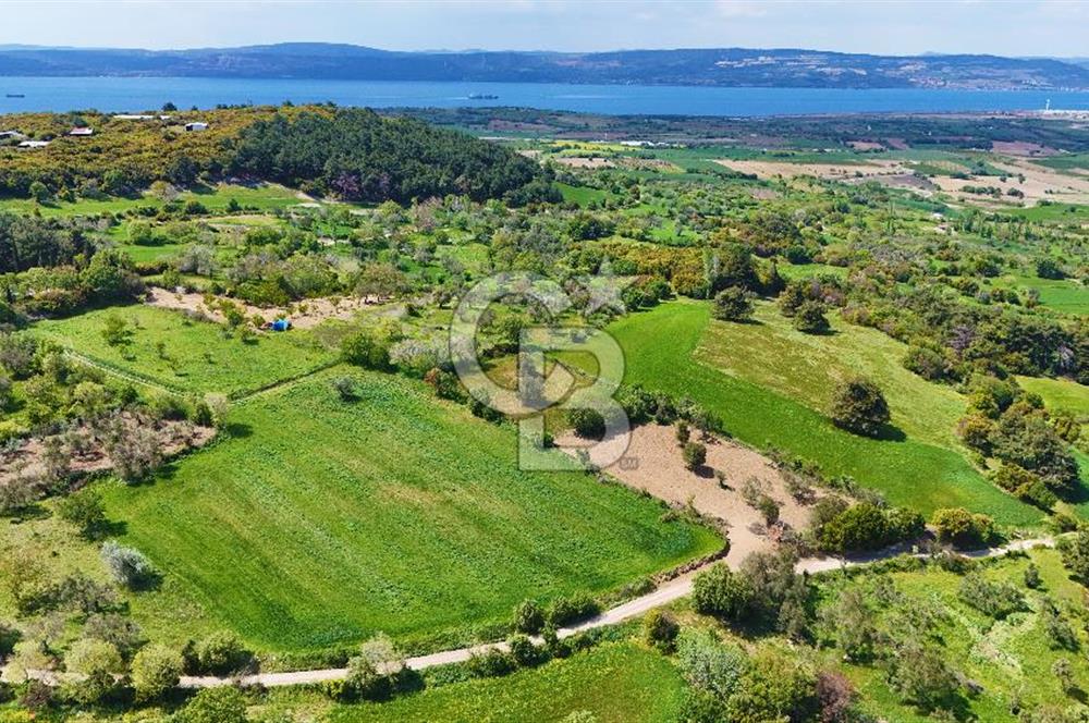 ÇANAKKALE LAPSEKİ KANGIRLI SATILIK TARLA BOĞAZ VE KÖPRÜ MANZARALI 