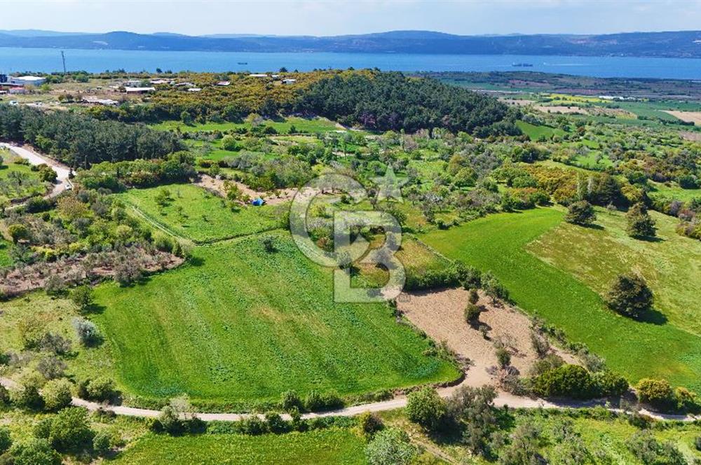 ÇANAKKALE LAPSEKİ KANGIRLI SATILIK TARLA BOĞAZ VE KÖPRÜ MANZARALI 