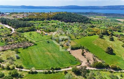 ÇANAKKALE LAPSEKİ KANGIRLI SATILIK TARLA BOĞAZ VE KÖPRÜ MANZARALI 