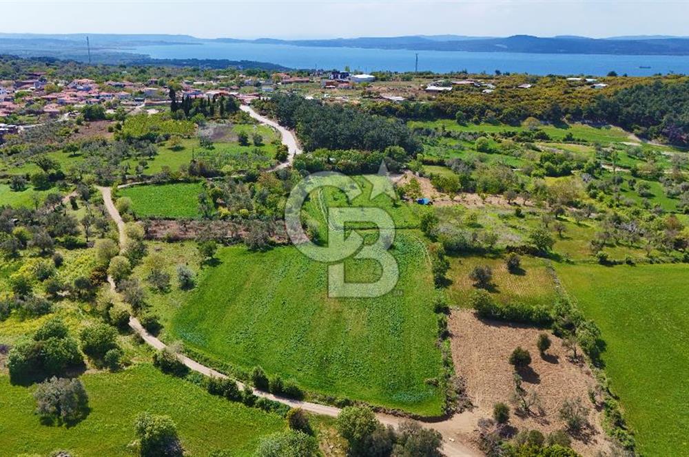 ÇANAKKALE LAPSEKİ KANGIRLI SATILIK TARLA BOĞAZ VE KÖPRÜ MANZARALI 