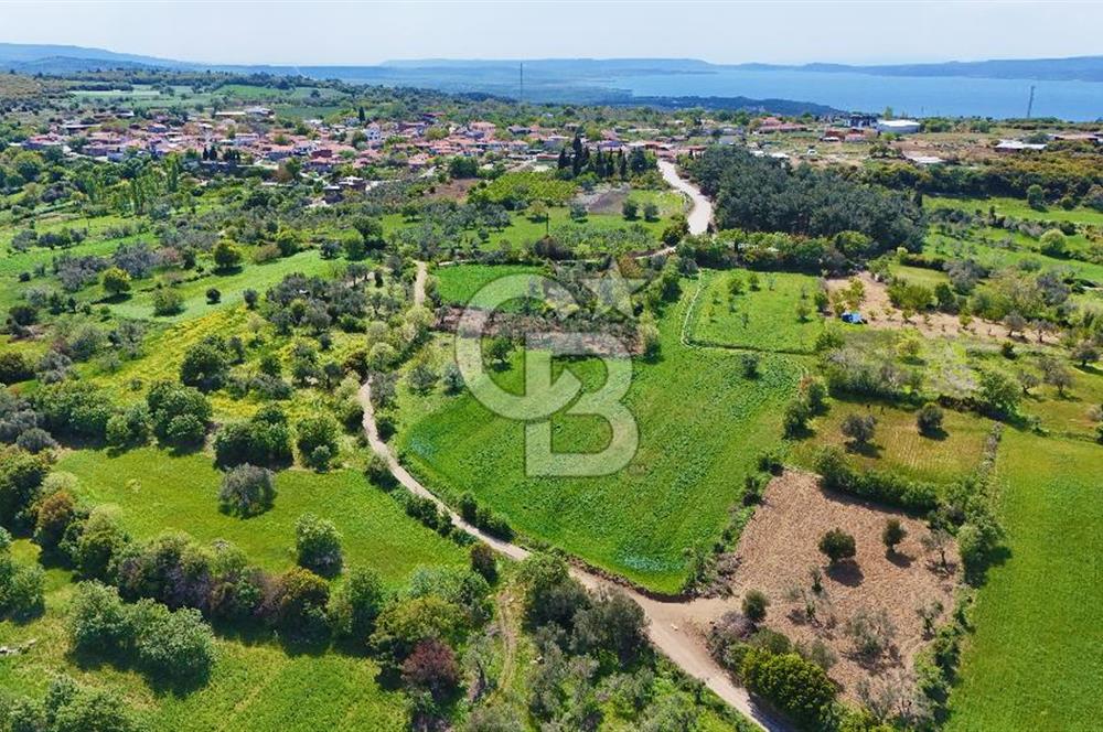 ÇANAKKALE LAPSEKİ KANGIRLI SATILIK TARLA BOĞAZ VE KÖPRÜ MANZARALI 