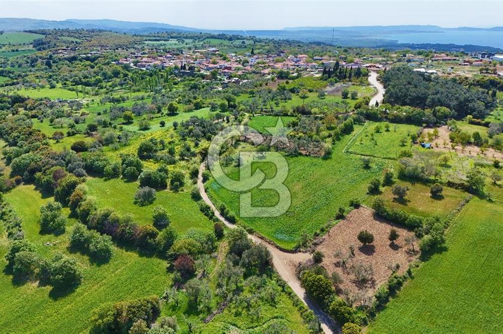 ÇANAKKALE LAPSEKİ KANGIRLI SATILIK TARLA BOĞAZ VE KÖPRÜ MANZARALI 
