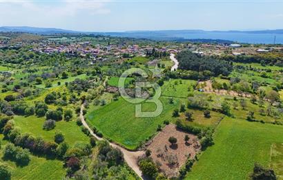 ÇANAKKALE LAPSEKİ KANGIRLI SATILIK TARLA BOĞAZ VE KÖPRÜ MANZARALI 