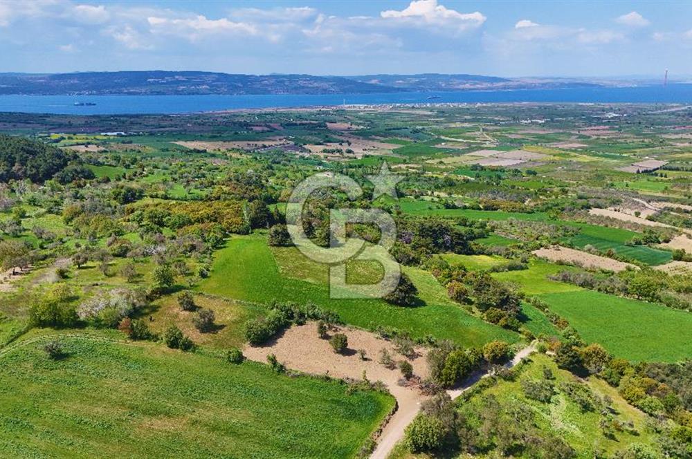 ÇANAKKALE LAPSEKİ KANGIRLI SATILIK TARLA BOĞAZ VE KÖPRÜ MANZARALI 