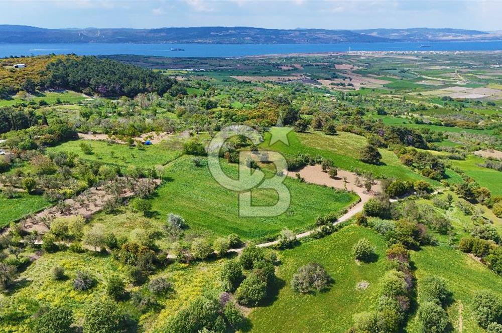 ÇANAKKALE LAPSEKİ KANGIRLI SATILIK TARLA BOĞAZ VE KÖPRÜ MANZARALI 