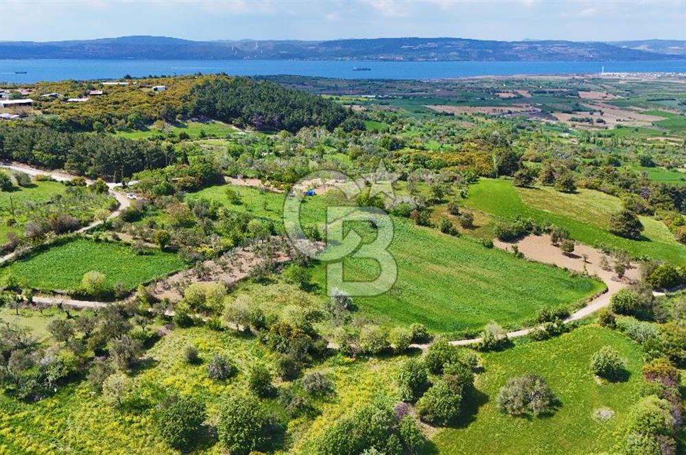 ÇANAKKALE LAPSEKİ KANGIRLI SATILIK TARLA BOĞAZ VE KÖPRÜ MANZARALI 