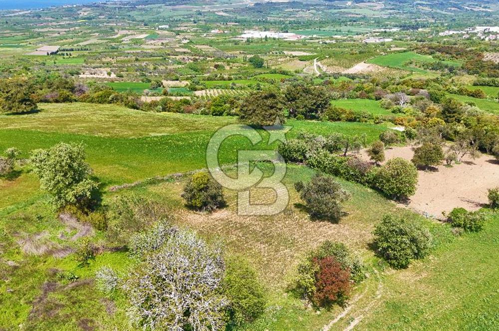 ÇANAKKALE LAPSEKİ KANGIRLI SATILIK TARLA BOĞAZ VE KÖPRÜ MANZARALI 