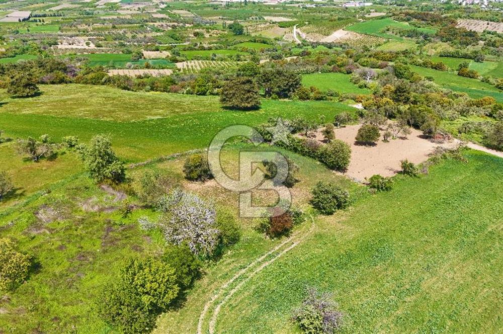 ÇANAKKALE LAPSEKİ KANGIRLI SATILIK TARLA BOĞAZ VE KÖPRÜ MANZARALI 