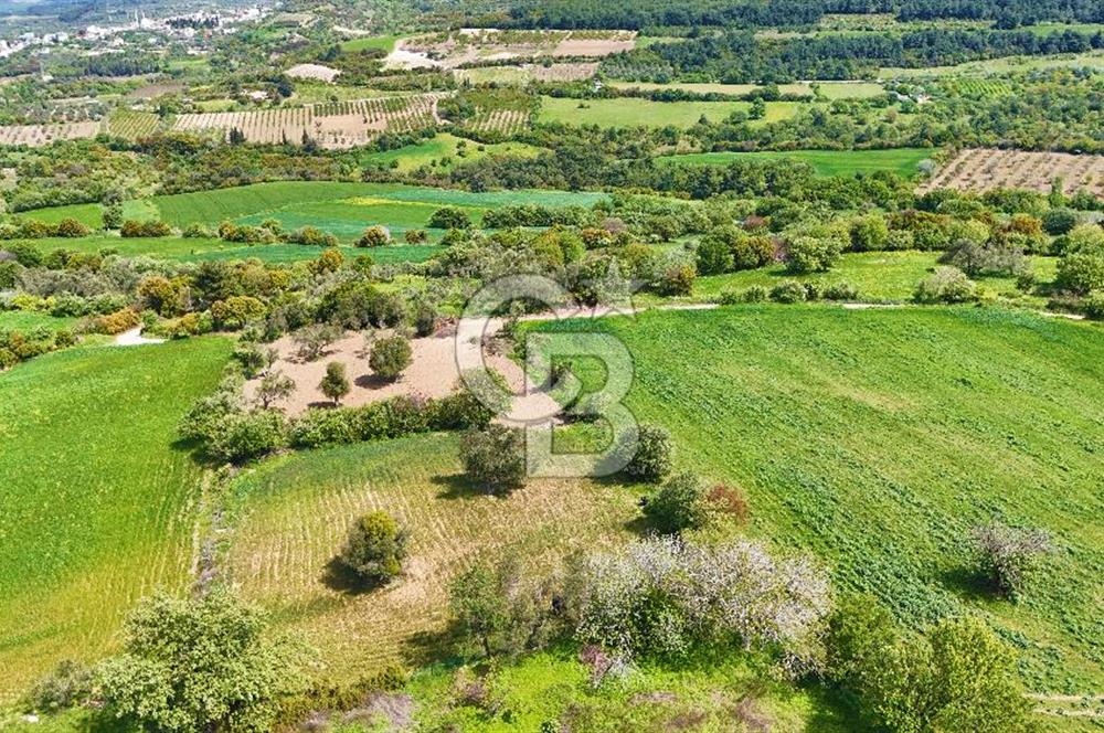 ÇANAKKALE LAPSEKİ KANGIRLI SATILIK TARLA BOĞAZ VE KÖPRÜ MANZARALI 