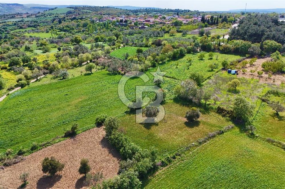 ÇANAKKALE LAPSEKİ KANGIRLI SATILIK TARLA BOĞAZ VE KÖPRÜ MANZARALI 