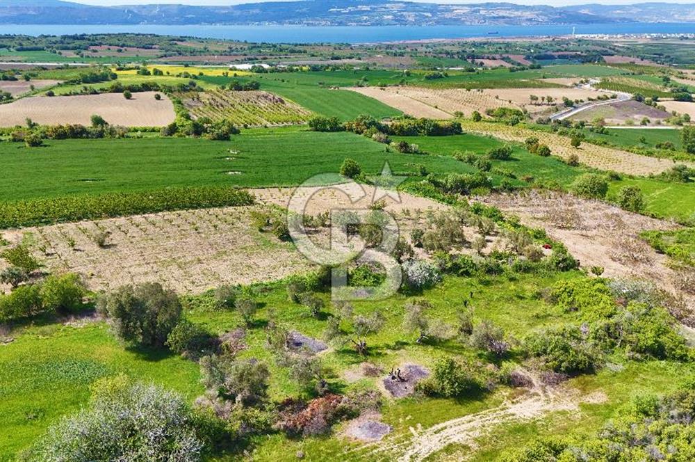 ÇANAKKALE LAPSEKİ KANGIRLI SATILIK TARLA BOĞAZ VE KÖPRÜ MANZARALI 