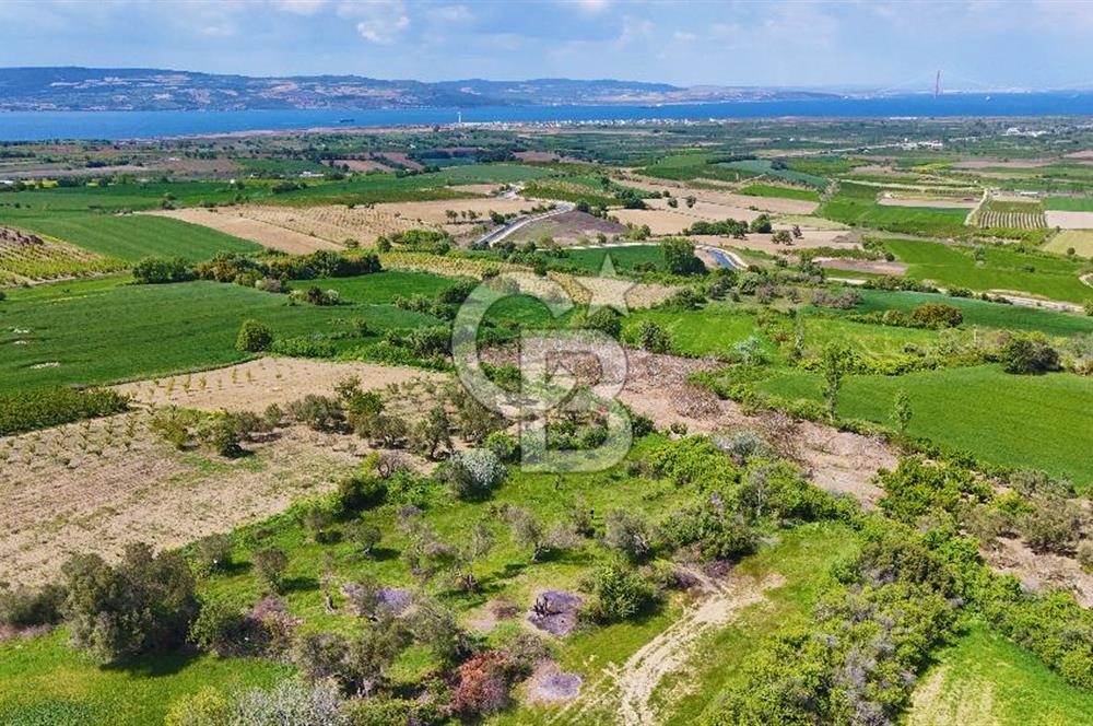 ÇANAKKALE LAPSEKİ KANGIRLI SATILIK TARLA BOĞAZ VE KÖPRÜ MANZARALI 