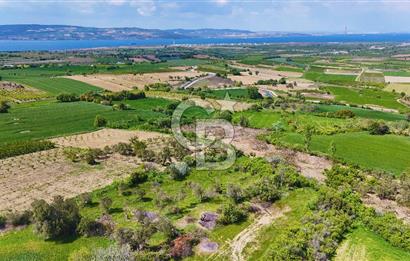 ÇANAKKALE LAPSEKİ KANGIRLI SATILIK TARLA BOĞAZ VE KÖPRÜ MANZARALI 