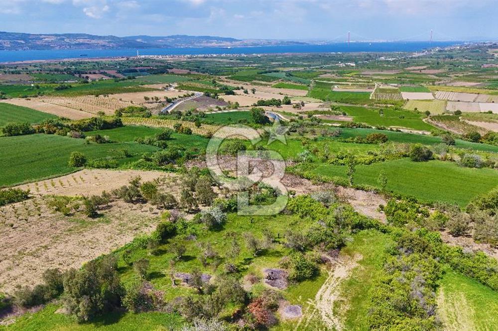 ÇANAKKALE LAPSEKİ KANGIRLI SATILIK TARLA BOĞAZ VE KÖPRÜ MANZARALI 