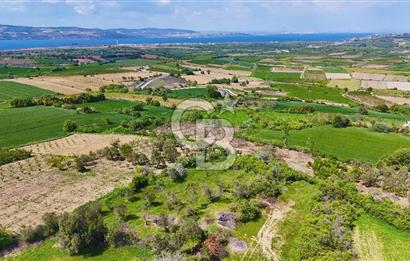 ÇANAKKALE LAPSEKİ KANGIRLI SATILIK TARLA BOĞAZ VE KÖPRÜ MANZARALI 
